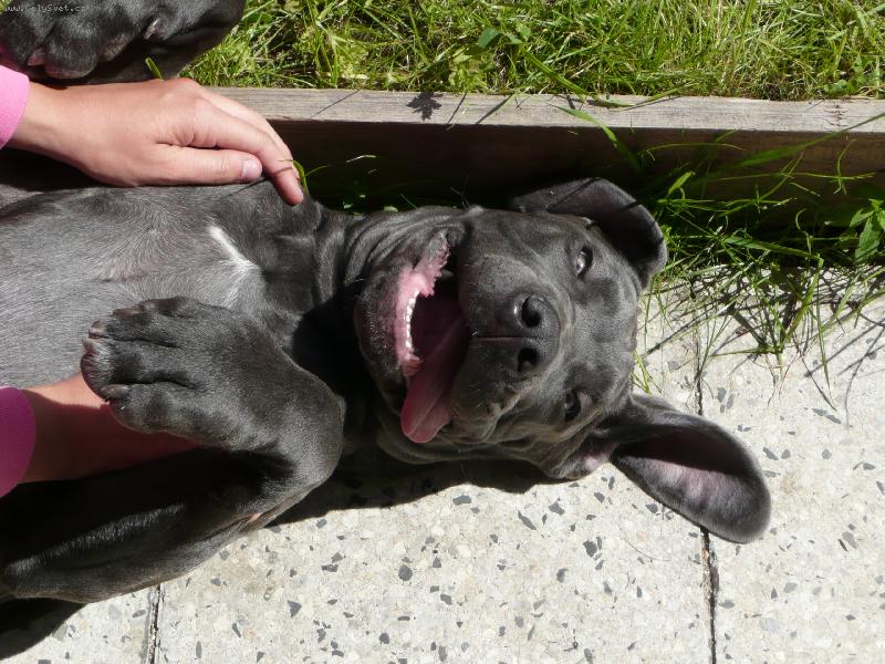 Foto: Nero :-)-5 měsíců