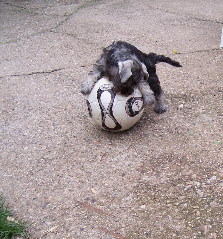 Foto: Malá sportovkyně-Chessie