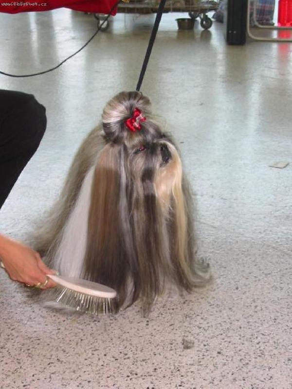 Foto: CH.Jeron Atrei