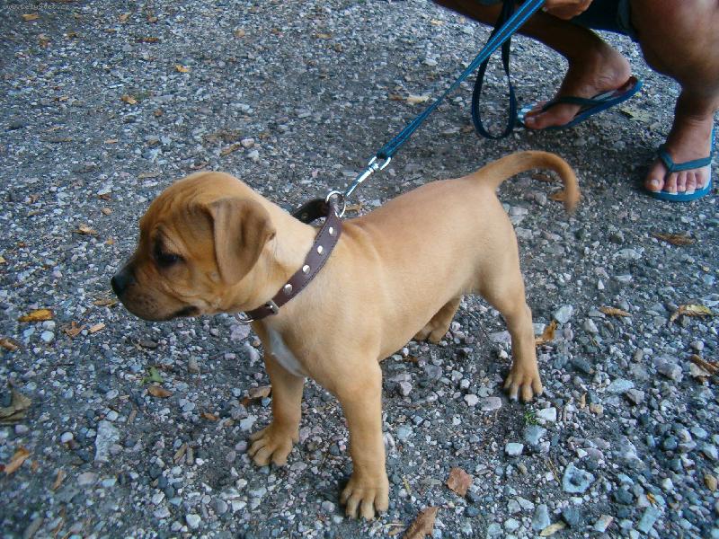 Foto: Sába-s novou rodinkou na výletě