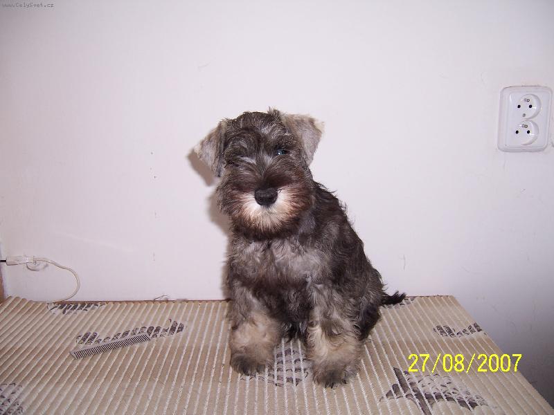 Foto: Chessie z Povodí Oharky