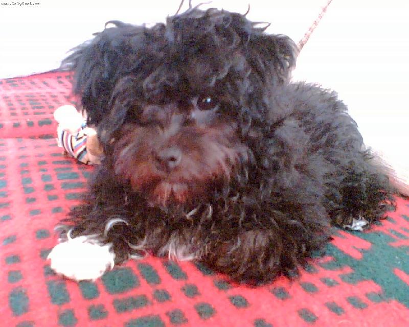 Foto: pohoda-pohodička