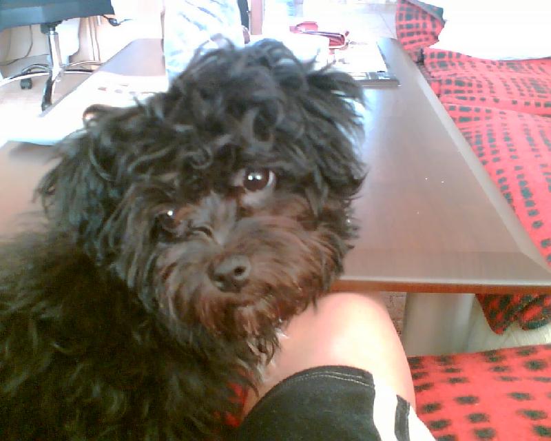 Foto: svatoušek-Corinka