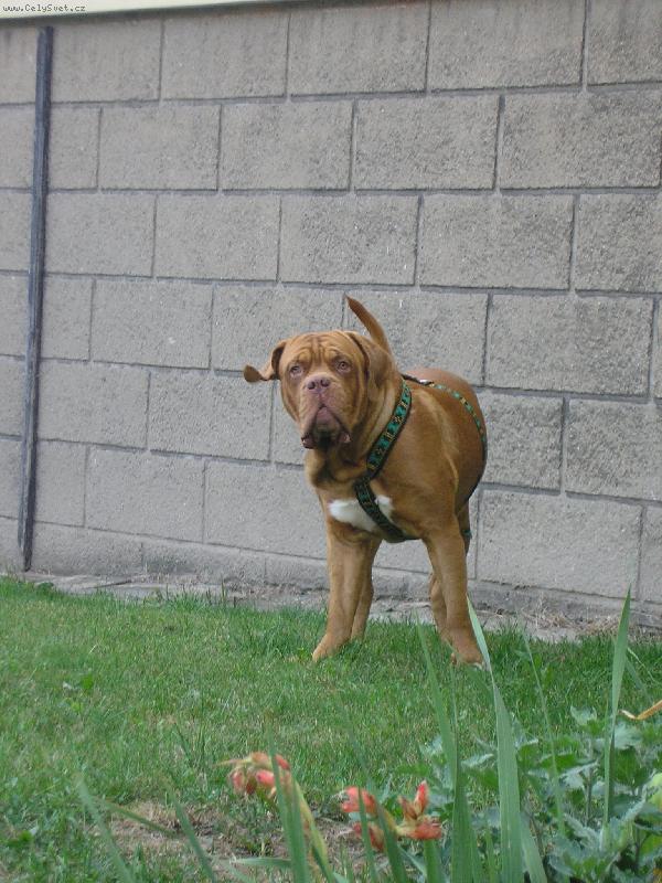 Foto: Gabík-Bu bu bu :-)