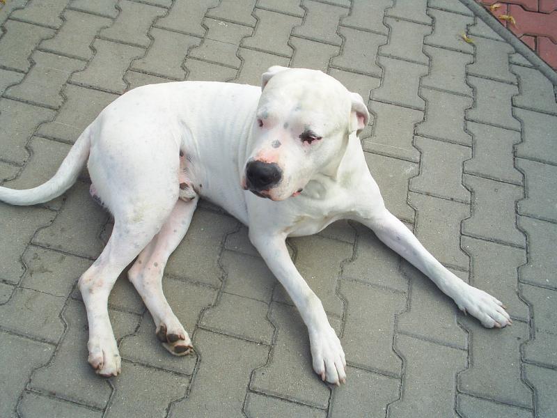 Foto: Barney Barrandovské Stríbro