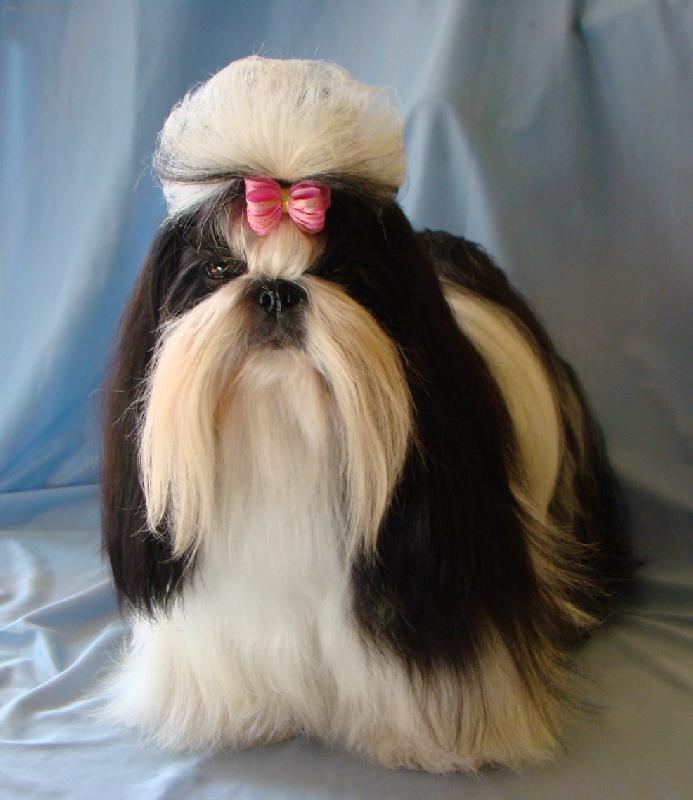 Foto: Princezna Lada z IVAFRE