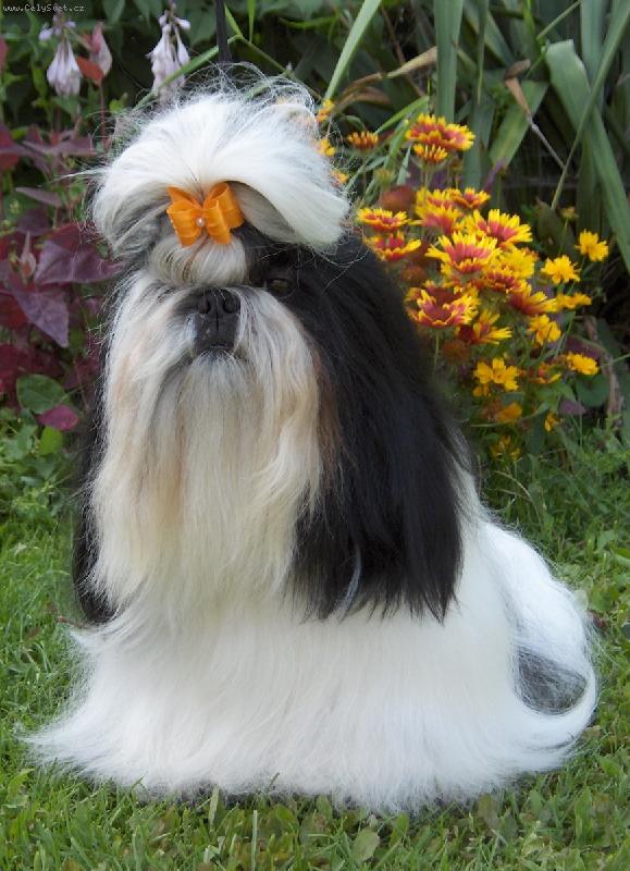 Foto: Ivánek z IVAFRE