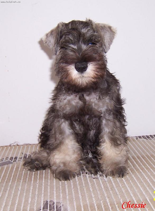 Foto: Chessie-z Povodí Oharky