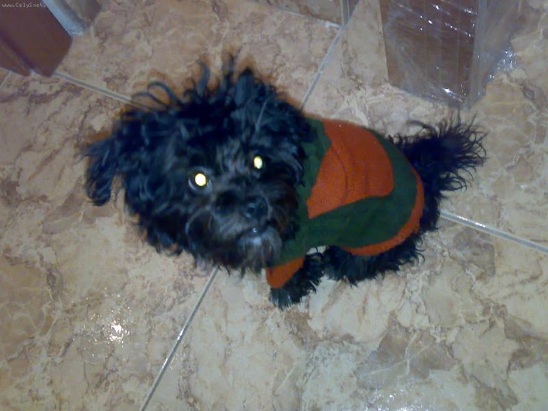 Foto: Corinka-příprava na procházku v zimě