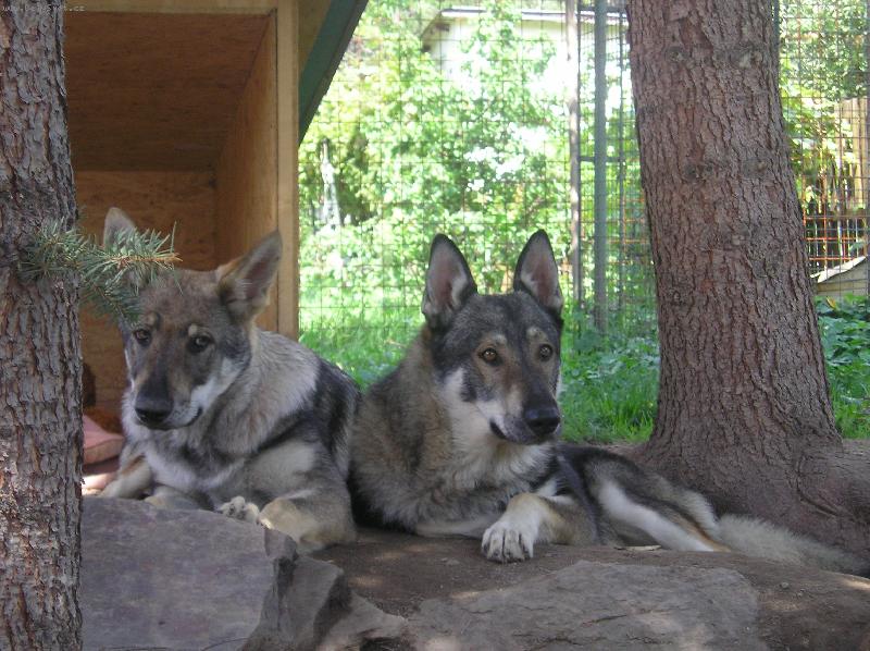 Foto: Usan a Ami 4měs.-Siesta