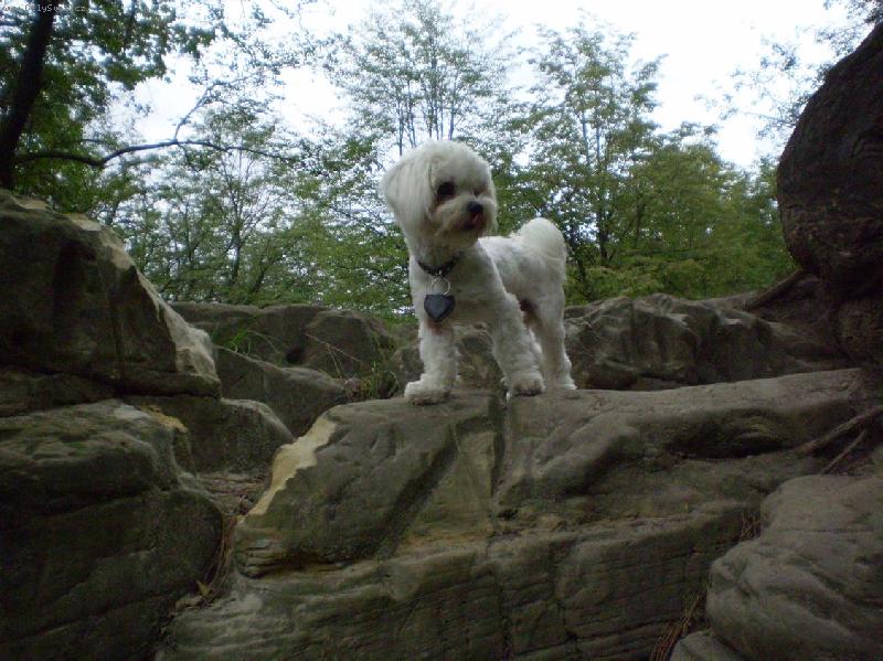 Foto: Monty horolezec-Monty