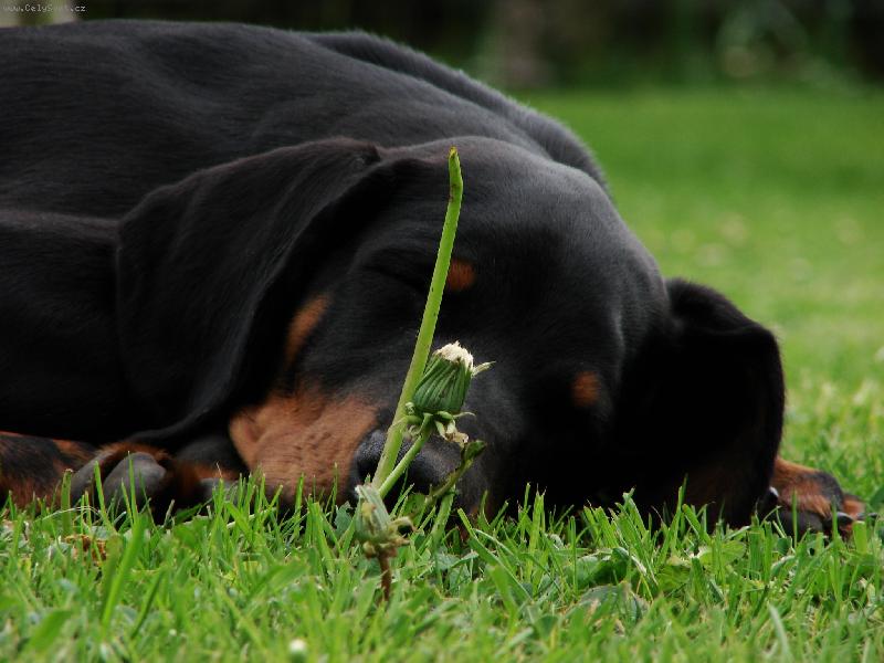 Foto: cca 3 měsíce