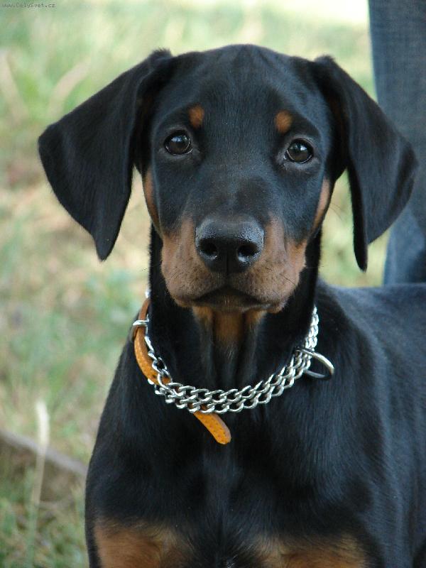 Foto: cca 3 měsíce