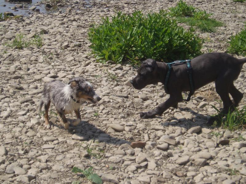 Foto: Paris Qeira Cevelob-Qeirinka se Zambou