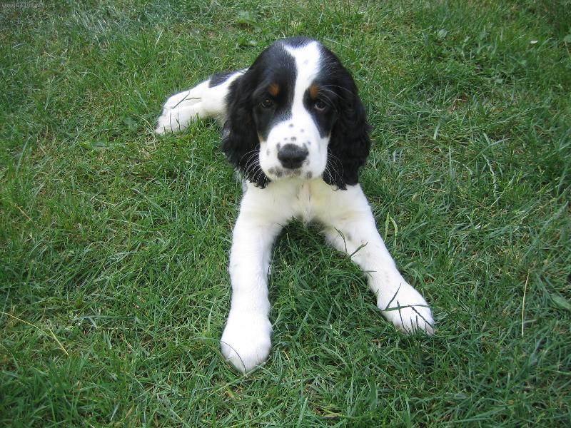 Foto: Amy ze Šipši-Na chvíli jsem v klidu, ale jen na malou.