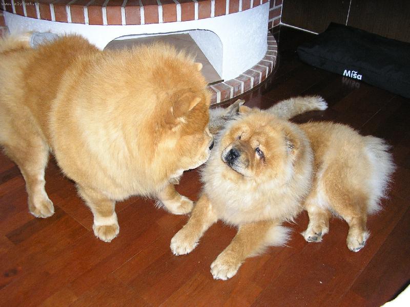 Foto: ještě krok a.....-....uvidíš