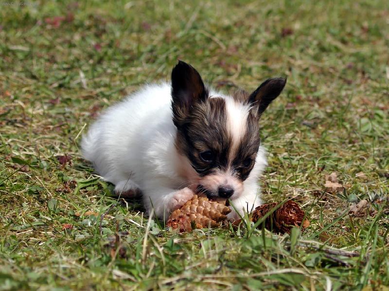 Foto: Bettynka má šištičku-Mám dobrou šištičku - nedám!