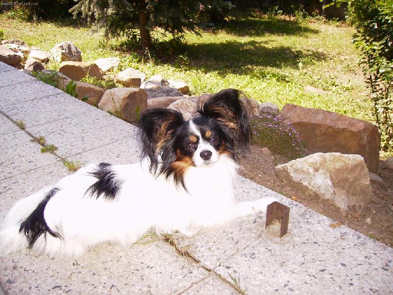 Foto: Denny - 20 měsíců-To je ze mně fešák, co? :-)