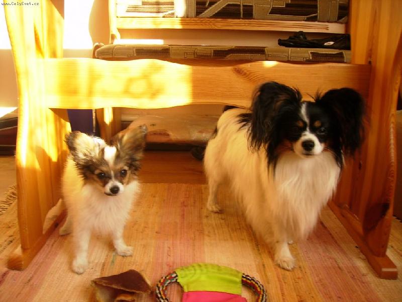 Foto: Denny Betty-My jsme nic neprovedli - fakt :-))