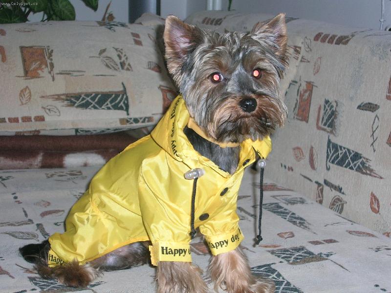 Foto: Max-Vždy připraven