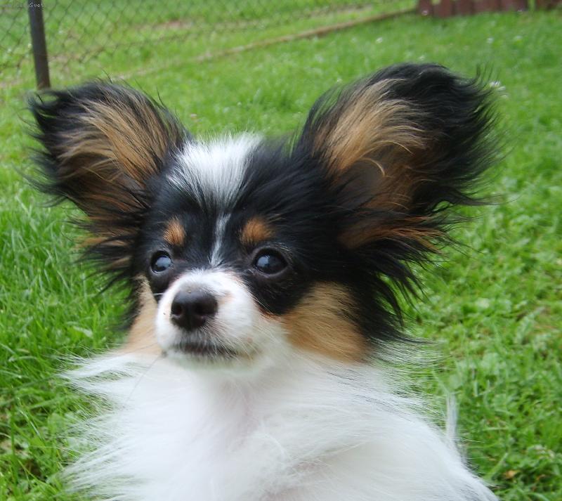 Foto: Isaura Maria Sirrah