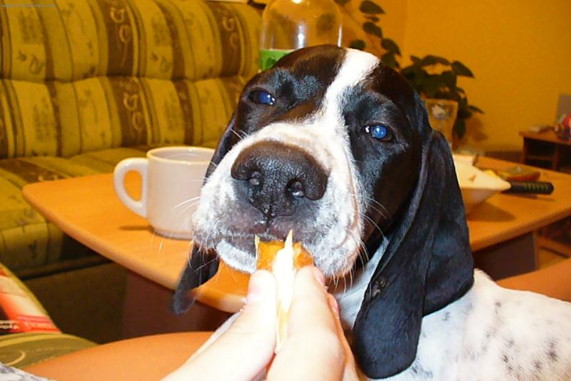 Foto: no neni hezká