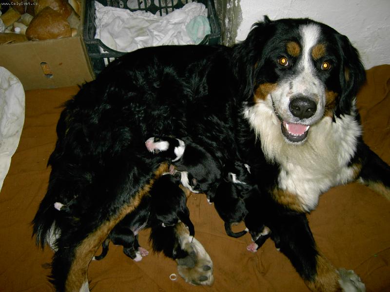 Foto: Bela-hrdá mamka