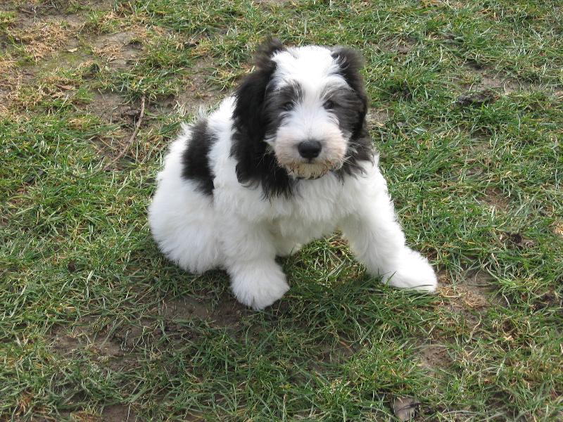 Foto: Matýsek-batole