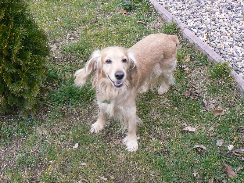 Foto: Doník-mám vítr ve vlasech