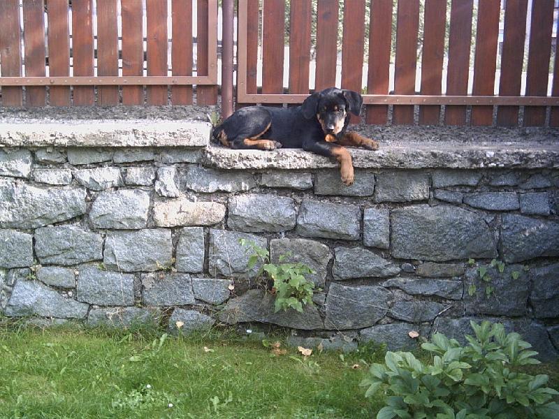 Foto: rotvíče-Sakra, není to nějak moc vyskoko?