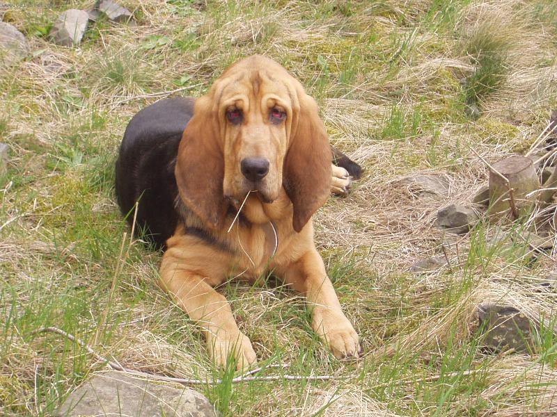 Foto: Na výletě-Blair Iseb