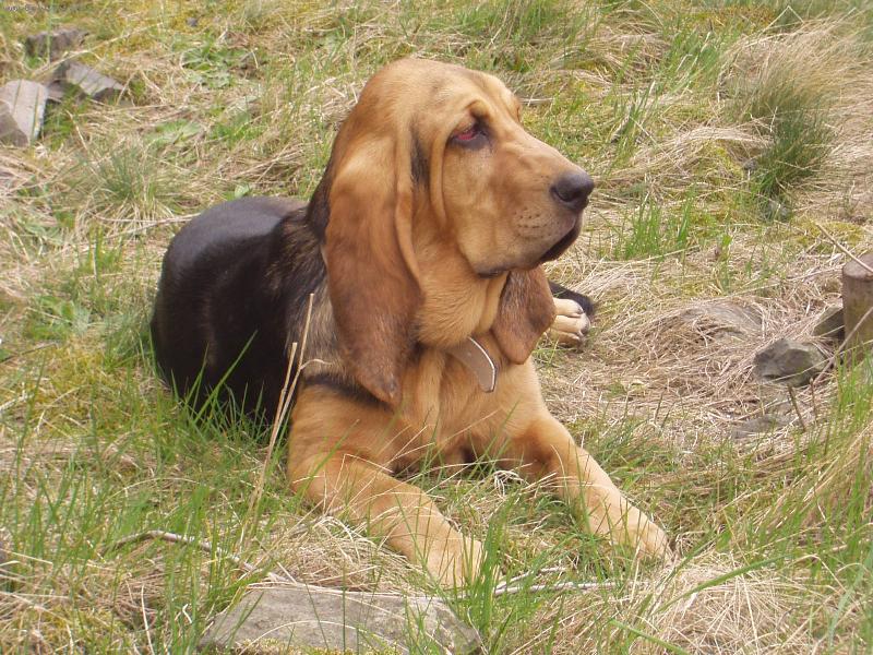 Foto: Na výletě-Blair Iseb