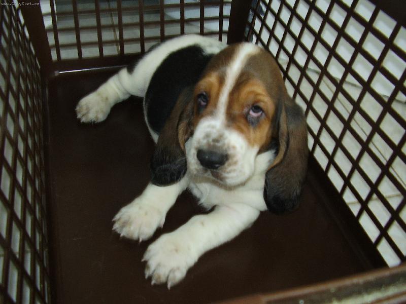 Foto: Náš Herkules