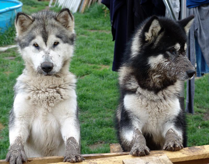 Foto: návštěva kosmetického salonu ......