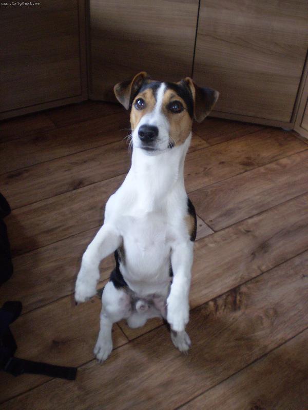 Foto: Bubítek-veveruška :)