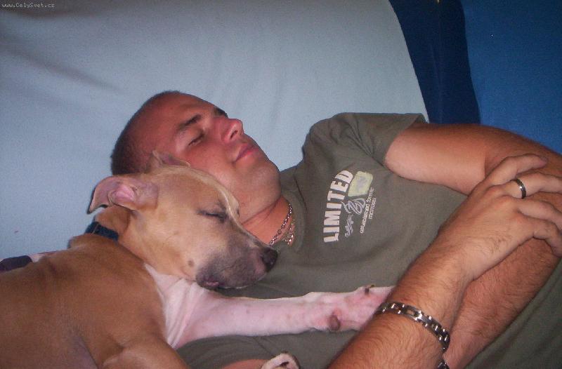 Foto: Arnýsek-Jak spinká