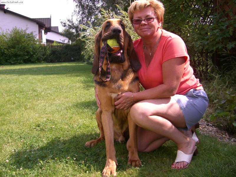 Foto: Verdel Alhavant-mladý čertík