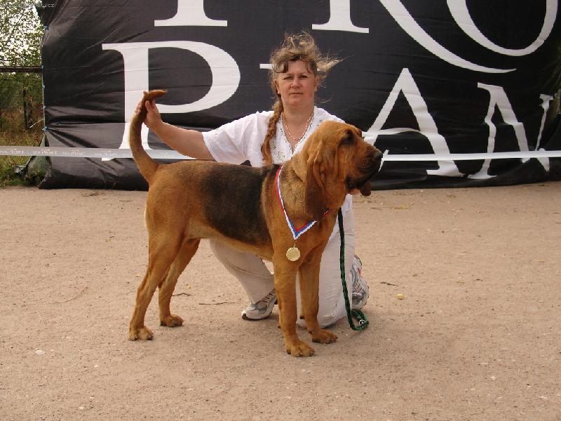 Foto: Wisteria Famous Alhavant-šikovné holky