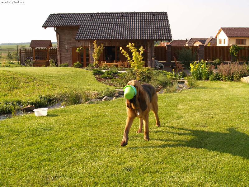 Foto: Wynn Famous Alhavant-malý čert