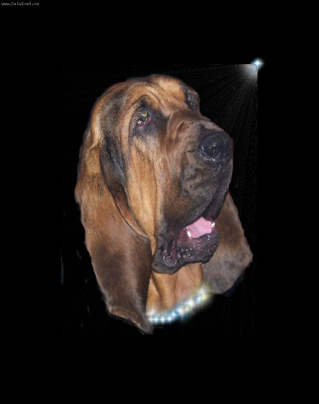 Foto: Talk of the Famous Alhavant