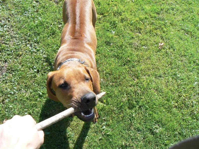 Foto: daxi (5 M)-to je můj klacek