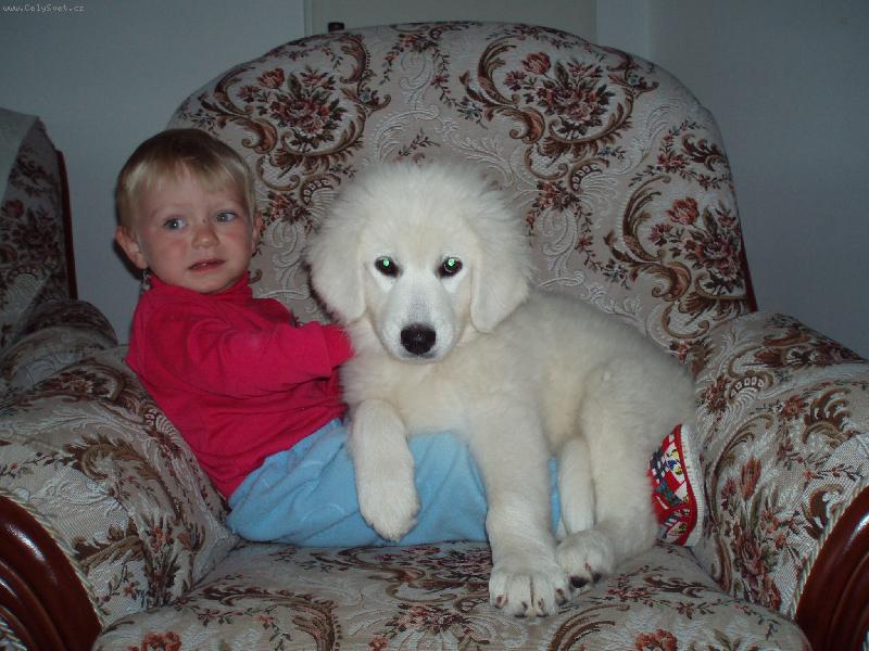 Foto: příliš těžká?