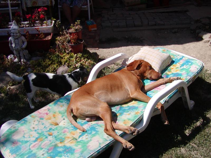 Foto: Mates ležící, spící