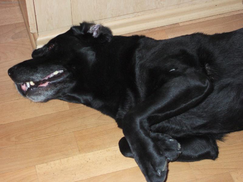 Foto: Beníííček-uáááá...pšiiiknutííí.....