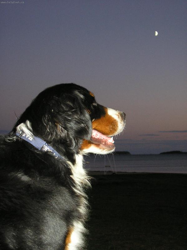 Foto: Jadranská noc přichází-Chorvatsko září 2007