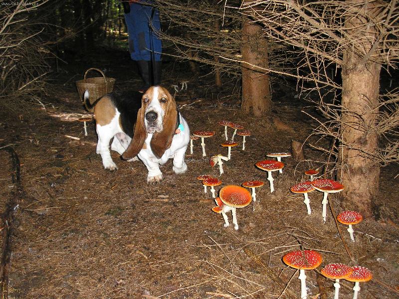 Foto: To je úrodička