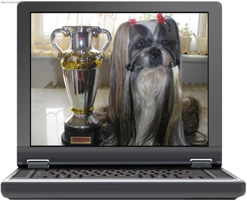 Foto: CH.Jeron Atrei