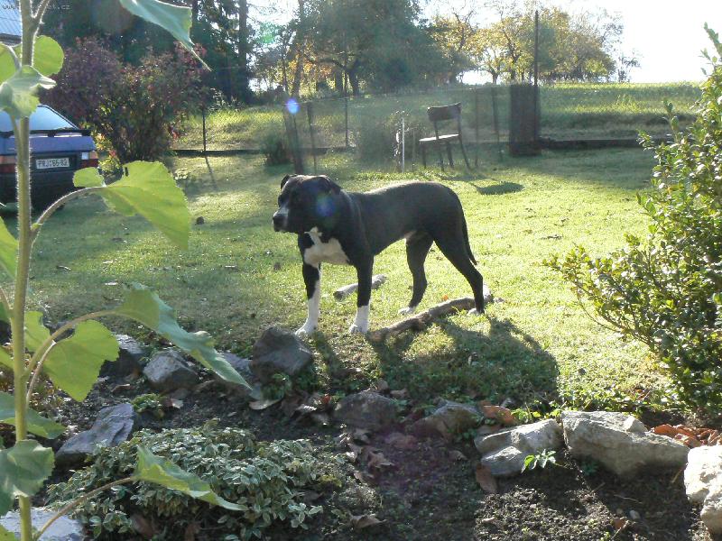 Foto: Na chatě-Arny 1 rok