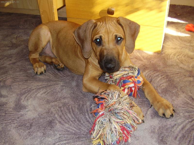 Foto: Aaronek-...už jsou mi tři měsíce!!