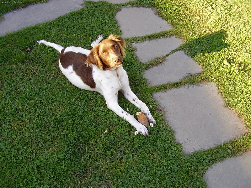 Foto: Sofijánka-Okusuji vše, co se dá!